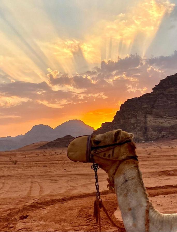 Rum Arjaan Luxury Camp Hotel Wadi Rum Exterior photo